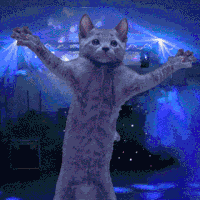 Gato 1